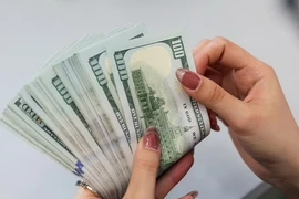 Tỷ giá giữa đồng VND và đồng USD giảm. (Ảnh: Vietnam+)