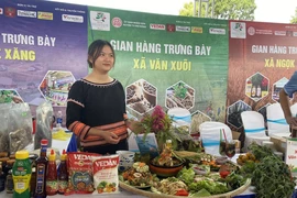 Các đội trình bày món ăn được chế biến từ sâm dây tại Hội thi ẩm thực quốc tế tổ chức ở làng Tu Thó, xã Tê Xăng, huyện Tu Mơ Rông, tỉnh Kon Tum. (Ảnh: Khoa Chương/TTXVN)