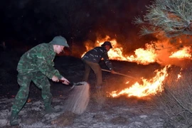 Lực lượng Công an, Quân đội tham gia chữa cháy rừng tại xã Hải Ninh, huyện Quảng Ninh, tỉnh Quảng Bình, tối ngày 29/4 vừa qua. (Ảnh: TTXVN phát)