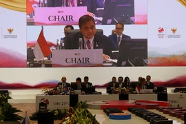 Bộ trưởng Điều phối Kinh tế Indonesia Airlangga Hartarto. (Ảnh: Hữu Chiến/TTXVN)