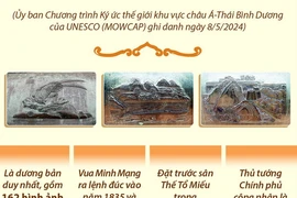 Những bản đúc nổi trên 9 đỉnh đồng ở Hoàng cung Huế được UNESCO ghi danh