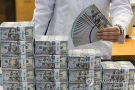 Một người kiểm tra đồng USD tại trụ sở của Ngân hàng Hana ở Seoul vào ngày 7/5 vừa qua. (Nguồn: Yonhap)
