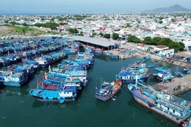 Cảng cá Mỹ Tân, xã Thanh Hải, huyện Ninh Hải, tỉnh Ninh Thuận, được đầu tư đồng bộ đáp ứng yêu cầu phát triển kinh tế biển của địa phương. (Ảnh: Nguyễn Thành/TTXVN)