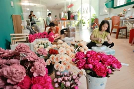 Maypaperflower - hoa giấy nghệ thuật trên đất Cố đô Huế