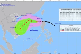 Đường đi của bão số 7, lúc 17 giờ ngày 8/11/2024. (Ảnh: TTXVN phát)