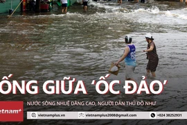 Người dân Thủ đô như sống giữa 'ốc đảo' vì nước sông Nhuệ dâng cao 