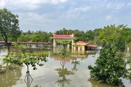 Trường học bị ngập do bão Yagi. (Ảnh: PV/Vietnam+)