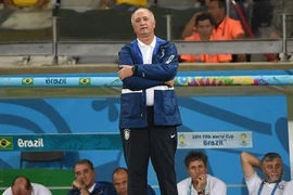 Brazil thua thảm Đức, song HLV Scolari vẫn chưa chịu từ chức