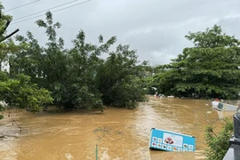 Mưa lớn kéo dài đã khiến nước sông Lô ở thành phố Hà Giang dâng cao, gây ngập lụt các hộ sống ven sông, tiềm ẩn nguy cơ đuối nước. (Ảnh: Minh Tâm/TTXVN)