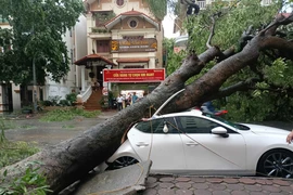 Hà Nội: Đã có những thiệt hại đầu tiên ngay trước khi bão Yagi chính thức đổ bộ