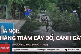 Hàng trăm cây đổ, gãy cành tại Hà Nội, nhiều tuyến phố bị chia cắt sau bão số 3