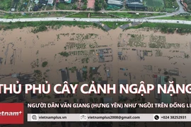 Nước rút chậm, nông dân thủ phủ cây cảnh Văn Giang "ngồi trên đống lửa"