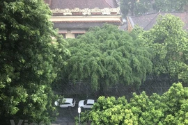 Ngày 29/3, Thủ đô Hà Nội nhiều mây, có mưa rào và rải rác có dông. (Ảnh: Lan Phương/Vietnam+)
