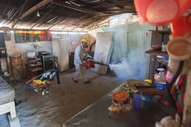 Nhân viên y tế phun thuốc diệt muỗi nhằm đề phòng nguy cơ dịch sốt xuất huyết bùng phát tại Acapulco, bang Guerrero, Mexico. (Ảnh: AFP/TTXVN)