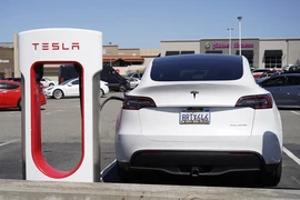 Ôtô điện của hãng Tesla tại bãi đỗ xe ở San Bruno, California, Mỹ, ngày 2/4/2024. (Ảnh: THX/TTXVN)