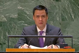 Đại sứ, Trưởng Phái đoàn Việt Nam tại Liên hợp quốc Đặng Hoàng Giang phát biểu tại phiên thảo luận. (Ảnh: Thanh Tuấn/TTXVN)