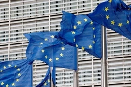Ý tưởng hợp nhất các thị trường của 27 nước thành viên EU đã gây tranh cãi gay gắt giữa các nhà lãnh đạo của khối. (Ảnh: IRNA/TTXVN)
