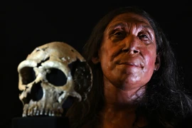 Khuôn mặt được phục dựng của Shanidar Z, người phụ nữ Neanderthal sống cách đây 75.000 năm, được công bố tại trường Đại học Cambridge, Anh, ngày 25/4/2024. (Ảnh: AFP/TTXVN)