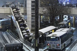 Người dân xếp hàng chờ lên xe buýt gần Tokyo, Nhật Bản ngày 5/2/2024. (Ảnh: Kyodo/TTXVN)