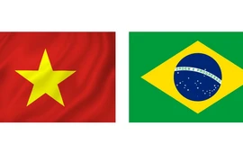 Việt Nam và Brazil chính thức thiết lập quan hệ ngoại giao ngày 8/5/1989. 