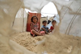 Trẻ em Palestine sơ tán khỏi Rafah tới thành phố Khan Younis, phía Nam Dải Gaza ngày 10/5/2024. (Ảnh: THX/TTXVN)