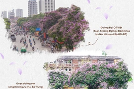 Những địa điểm không thể bỏ qua ở Hà Nội mỗi mùa hoa bằng lăng đến