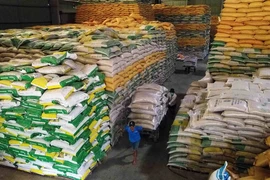 Giá gạo xuất khẩu duy trì ổn định. (Ảnh: Vũ Sinh/TTXVN)