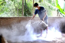 Người dân xã Thanh Luông, huyện Điện Biên, rắc vôi bột khử trùng chuồng trại chăn nuôi lợn. (Ảnh: Trung Kiên/TTXVN)