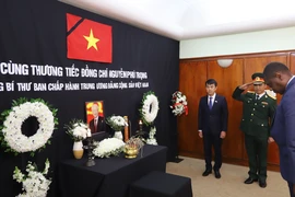 Cộng đồng người Việt và bạn bè quốc tế tại các nước tiễn biệt Tổng Bí thư
