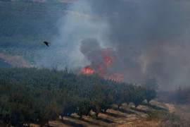 Khói lửa bốc lên sau cuộc tấn công của lực lượng Hezbollah tại Liban xuống miền Bắc Israel ngày 17/8/2024. (Ảnh: THX/TTXVN)