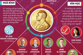 Toàn cảnh mùa giải Nobel năm 2024