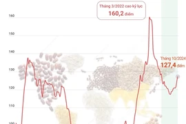 Chỉ số giá lương thực thế giới tháng 10/2024: Cao nhất trong 18 tháng qua