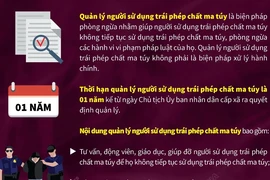 Tìm hiểu về công tác quản lý người sử dụng trái phép chất ma túy