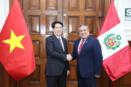 Chủ tịch nước Lương Cường hội kiến Chủ tịch Hội đồng Bộ trưởng Peru Gustavo Adrian Adrianzén. Ảnh: Lâm Khánh – TTXVN