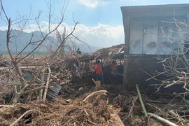 Người dân thu dọn đống đổ nát sau khi bão Usagi quét qua tỉnh Cagayan, Philippines ngày 15/11/2024. (Ảnh: REUTERS/TTXVN)