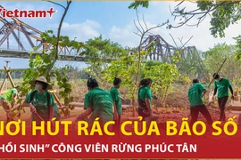 'Hồi sinh' công viên rừng Phúc Tân sau cơn bão Yagi