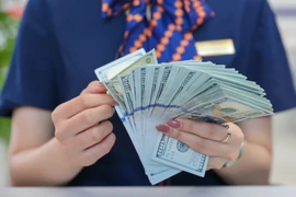 Tỷ giá tại các ngân hàng thương mại tăng chạm trần, lên 25.300 đồng. (Ảnh: Vietnam+)