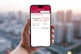 Tài khoản Plus dễ nhớ và mang lại cảm giác may mắn và thịnh vượng cho người dùng. (Ảnh: Vietnam+)
