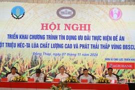 Các đại biểu tham dự tại hội nghị. (Ảnh: Vietnam+)