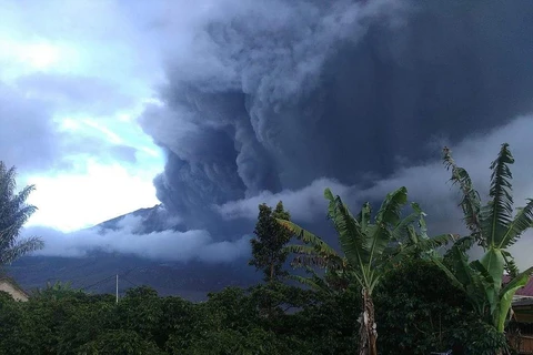 Núi lửa Sinabung phun trào. (Nguồn: AFP)