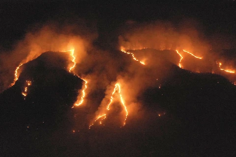 Các đám cháy tại rừng Amazon ở Tocantins, Brazil. (Ảnh: THX/ TTXVN) 