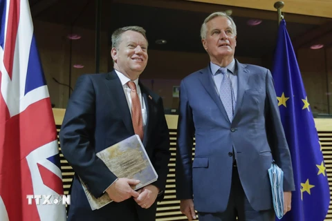 Các trưởng đoàn đàm phán Brexit của Anh và EU. (Ảnh: AFP/TTXVN)