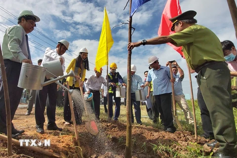 Thủ tướng gửi thư khen tỉnh Bến Tre hưởng ứng trồng 10 triệu cây xanh
