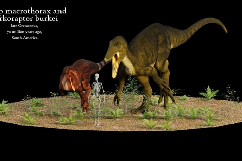 Phát hiện dấu tích của loài khủng long ăn thịt khổng lồ ở Argentina