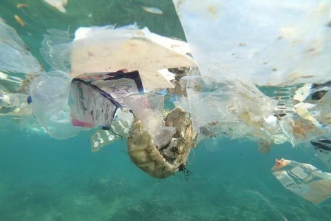 Báo động tình trạng ô nhiễm rác thải nhựa ở ngoài khơi Australia