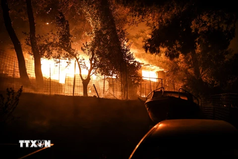 Cháy rừng nghiêm trọng thiêu rụi hàng chục tòa nhà tại Nga