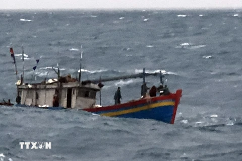 Kịp thời ứng cứu 7 thuyền viên tàu cá bị chìm ở vùng biển Thanh Hóa