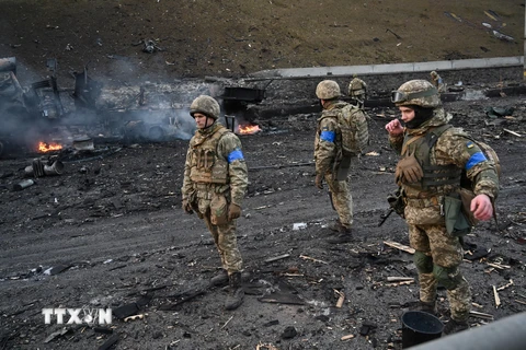 Ukraine từ chối ngừng bắn tạm thời theo đề nghị của Tổng thống Nga