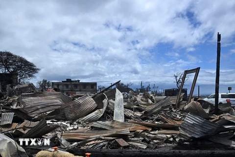 Mỹ: Công ty điện lực bác đơn kiện gây ra thảm họa cháy rừng tại Hawaii