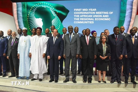 Các đại biểu tham dự Hội nghị thượng đỉnh Liên minh châu Phi (AU) ở Niamey, Niger. (Ảnh: AFP/TTXVN)
